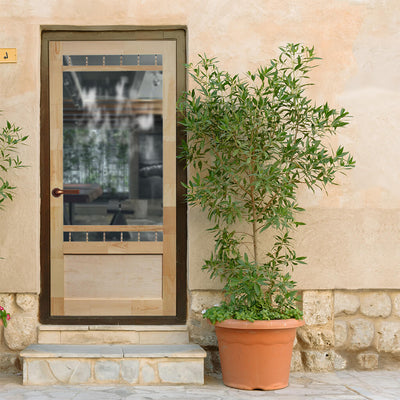 A wooden door is featured on a beige wall with a large potted plant beside it.